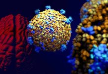 COVID-19: Cognitive Impairment in Patients over 50 Infected with the Omicron Variant