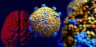 COVID-19: Cognitive Impairment in Patients over 50 Infected with the Omicron Variant