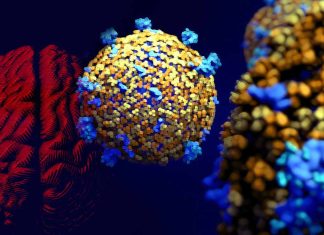 COVID-19: Cognitive Impairment in Patients over 50 Infected with the Omicron Variant