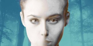 The Role of Child Maltreatment in the Development of Alexithymia: A Meta-Analytic Review