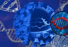Unraveling the Genetic and Biological Factors Underlying COVID-19 Severity: Insights from miRNA Analysis