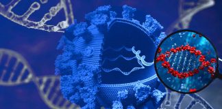 Unraveling the Genetic and Biological Factors Underlying COVID-19 Severity: Insights from miRNA Analysis
