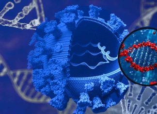 Unraveling the Genetic and Biological Factors Underlying COVID-19 Severity: Insights from miRNA Analysis