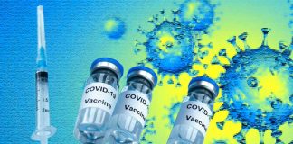 Exploring the Relationship Between COVID-19 Vaccination Status, SARS-CoV-2 Lineages, and Risk of Infection