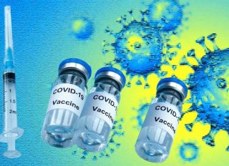 Exploring the Relationship Between COVID-19 Vaccination Status, SARS-CoV-2 Lineages, and Risk of Infection