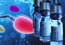 Understanding the Implications of COVID-19 on Male Reproductive Health: Comprehensive Analysis of the Effects of N Protein-Based Vaccines