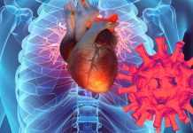 Cardiovascular Consequences of COVID-19 in Healthy Subjects