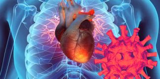 Cardiovascular Consequences of COVID-19 in Healthy Subjects