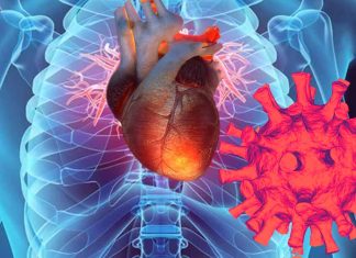 Cardiovascular Consequences of COVID-19 in Healthy Subjects