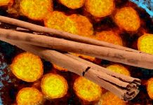 Cinnamon Compound CINNA Shows Promise in Modulating COVID-19-Induced Inflammation