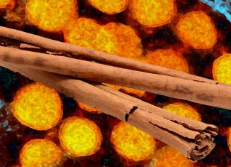 Cinnamon Compound CINNA Shows Promise in Modulating COVID-19-Induced Inflammation