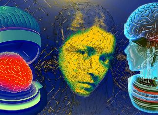 Closed-Loop Deep Brain Stimulation Enhances Hippocampo-Thalamocortical Synchronization and Memory Consolidation during Sleep