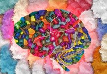 Cognitive Ability and Personality: An In-Depth Exploration of Their Interrelations