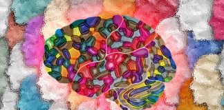 Cognitive Ability and Personality: An In-Depth Exploration of Their Interrelations