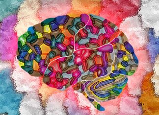 Cognitive Ability and Personality: An In-Depth Exploration of Their Interrelations
