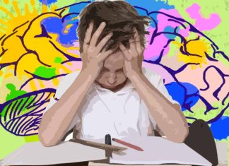 Esplorazione della modulazione attenzionale delle rappresentazioni neurali nella cognizione dei bambini