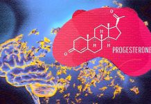 Progesterone: Exploring its Neuroprotective Potential in the Enteric Nervous System