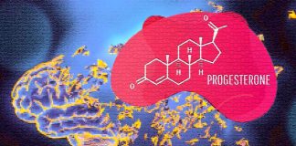 Progesterone: Exploring its Neuroprotective Potential in the Enteric Nervous System