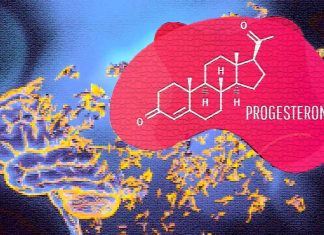 Progesterone: Exploring its Neuroprotective Potential in the Enteric Nervous System