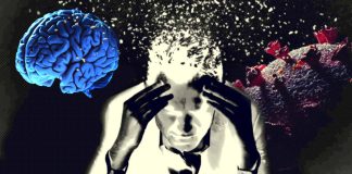 Unveiling the Enigmatic Nexus: Exploring the Intricate Link Between COVID-19 and Intelligence