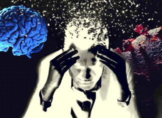 Unveiling the Enigmatic Nexus: Exploring the Intricate Link Between COVID-19 and Intelligence