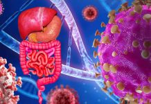 Fatal Gastrointestinal Disorders Associated with COVID-19: Insights from GI-GVHD and MIS-A