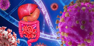 Fatal Gastrointestinal Disorders Associated with COVID-19: Insights from GI-GVHD and MIS-A