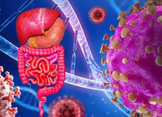 Fatal Gastrointestinal Disorders Associated with COVID-19: Insights from GI-GVHD and MIS-A