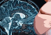 How obesity affects the brain’s ability to sense and respond to nutrients in the stomach and blood