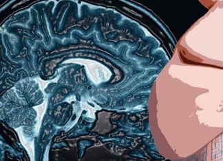 How obesity affects the brain’s ability to sense and respond to nutrients in the stomach and blood