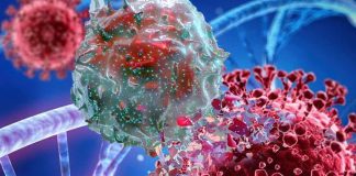 IL-10: A Promising Cytokine for Modulating the Cytokine Storm in COVID-19
