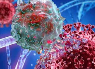IL-10: A Promising Cytokine for Modulating the Cytokine Storm in COVID-19