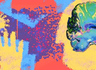 Long-Term Neurological and Cognitive Impairment in COVID-19: Exploring the Role of Vascular Dysfunction