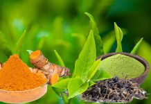 Combinazione di nano-curcumina e catechina: un nuovo approccio terapeutico per COVID-19
