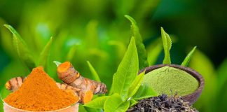 Nano-Curcumin and Catechin Combination: A Novel Therapeutic Approach for COVID-19