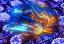 Understanding the Association Between Neurological Symptoms and Blood Biomarkers in Mild-to-Moderate COVID-19 and Long COVID