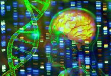 The Role of PSEN1 Mutations in Alzheimer’s Disease