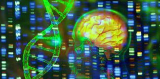 The Role of PSEN1 Mutations in Alzheimer’s Disease