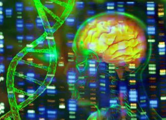 The Role of PSEN1 Mutations in Alzheimer’s Disease