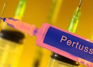 Pertussis Outbreak in Israel: What You Need to Know