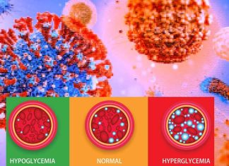 SARS-CoV-2 directly triggers hyperglycemia by infecting hepatocytes