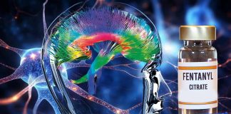 The Role of Claustral Neurons in Modulating Fentanyl Addiction: Implications for Targeted Interventions