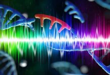 Unveiling the Genetic Symphony of the Human Voice: Exploring the Acoustic Marvels and Evolutionary Significance of Voice and Vowel Acoustics