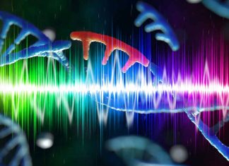 Unveiling the Genetic Symphony of the Human Voice: Exploring the Acoustic Marvels and Evolutionary Significance of Voice and Vowel Acoustics