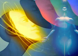 Unveiling the Inner Self: Causal Evidence Reveals Anterior Precuneus’ Role in Processing Bodily Self