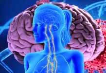 Vagus Nerve Dysfunction in Post-COVID-19 Condition: Unraveling the Pathogenesis and Implications for Clinical Management
