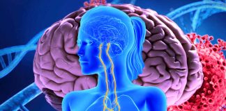 Vagus Nerve Dysfunction in Post-COVID-19 Condition: Unraveling the Pathogenesis and Implications for Clinical Management