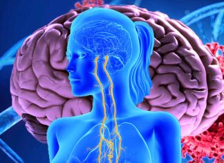 Vagus Nerve Dysfunction in Post-COVID-19 Condition: Unraveling the Pathogenesis and Implications for Clinical Management