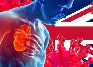 COVID-19: Nearly 100,000 More Deaths from Cardiovascular Disease Since the Start of the Pandemic in England