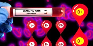 Unraveling the Puzzle: ABO Blood Group, Secretor Status, and Integrins in Susceptibility to SARS-CoV-2